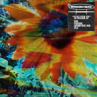 Purchase Brokenhead - Sungazer (EP)