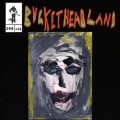 Buy Bucketheadland - Pike 294 - Warp Threads Mp3 Download