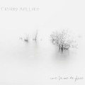 Buy Thierry Maillard - Une Larme De Pluie Mp3 Download