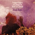 Buy Fruit Bats - Sometimes A Cloud Is Just A Cloud: Slow Growers, Sleeper Hits And Lost Songs (2001-2021) Mp3 Download