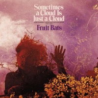 Purchase Fruit Bats - Sometimes A Cloud Is Just A Cloud: Slow Growers, Sleeper Hits And Lost Songs (2001-2021)