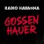 Buy Radio Havanna - Gossenhauer Mp3 Download
