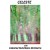 Buy Celeste - Celeste With Celestial Symphony Orchestra Mp3 Download