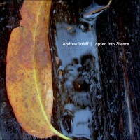 Purchase Andrew Lahiff - Lapsed Into Silence