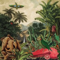 Purchase Lagoss - Imaginary Island Music Vol. 1: Canary Islands