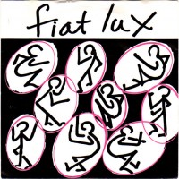 Purchase Fiat Lux - Feels Like Winter Again / This Illness (VLS)