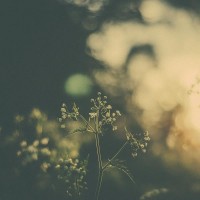 Purchase Hotel Neon - Means Of Knowing