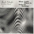 Buy Janek Schaefer - What Light There Is Tells Us Nothing Mp3 Download