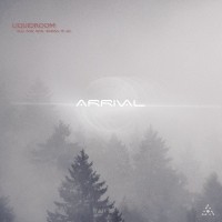 Purchase Liquidroom - Arrival