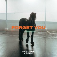 Purchase Fast Boy & Topic - Forget You (CDS)