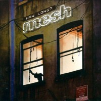 Purchase Mesh - How Long? (MCD)