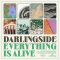 Buy Darlingside - Everything Is Alive Mp3 Download
