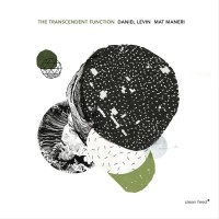 Purchase Daniel Levin - The Transcendent Function