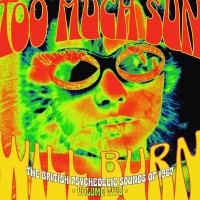 Purchase VA - Too Much Sun Will Burn (The British Psychedelic Sounds Of 1967 Vol. 2) CD1