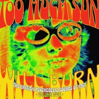 Purchase VA - Too Much Sun Will Burn (The British Psychedelic Sounds Of 1967 Vol. 2) CD2