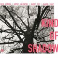 Buy Izumi Kimura - Kind Of Shadow (With Artur Majewski, Barry Guy & Ramon Lopez) Mp3 Download