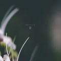 Buy Arctica - 꽃 (Bloom) Mp3 Download