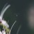 Buy Arctica - 꽃 (Bloom) Mp3 Download