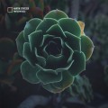 Buy Martin Stürtzer - Photosynthesis Mp3 Download