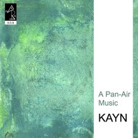 Purchase Roland Kayn - A Pan-Air Music