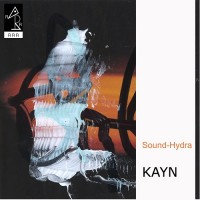 Purchase Roland Kayn - Sound-Hydra