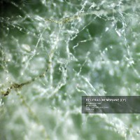 Purchase Recfrag - Membrane (EP)