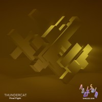 Purchase Thundercat - Final Fight (CDS)
