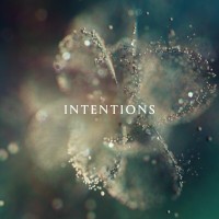Purchase ANNA - Intentions