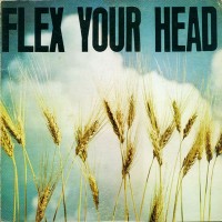 Purchase VA - Flex Your Head (Vinyl)