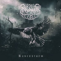Purchase Holdaar - Ravenstorm