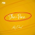 Buy Kizz Daniel - Shu-Peru (CDS) Mp3 Download