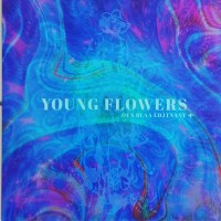 Purchase Young Flowers - Den Blaa Løjtnant