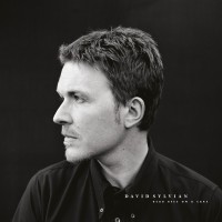 Purchase David Sylvian - Dead Bees On A Cake (Deluxe Edition)