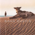 Buy Brad Shepik - The Well Mp3 Download