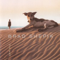 Purchase Brad Shepik - The Well