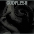 Buy Godflesh - Purge Mp3 Download
