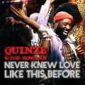 Buy Bob Sinclar & Quinze - Never Knew Love Like This Before (CDS) Mp3 Download