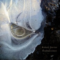 Purchase Robert Davies - Incandescence