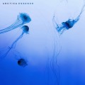 Buy Arctica - Essence Mp3 Download