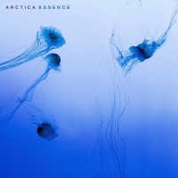 Purchase Arctica - Essence