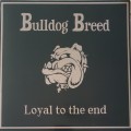 Buy Bulldog Breed - Loyal To The End Mp3 Download