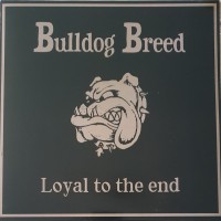 Purchase Bulldog Breed - Loyal To The End