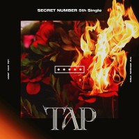 Purchase Secret Number - Tap (CDS)