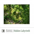 Buy Robert Davies - Hidden Labyrinth Mp3 Download