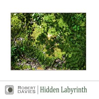 Purchase Robert Davies - Hidden Labyrinth