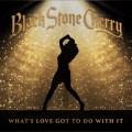 Buy Black Stone Cherry - What's Love Got To Do With It (CDS) Mp3 Download