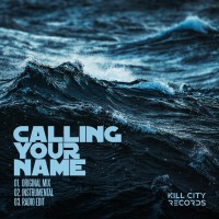 Purchase Hybrid - Calling Your Name (CDS)