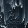 Buy Fejká - Twilight Mp3 Download