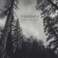 Buy Vėjopatis - Belaukiant Saulės Mp3 Download