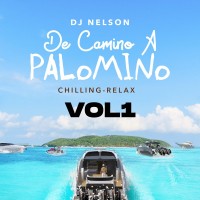 Purchase DJ Nelson - De Camino A Palomino Vol. 1